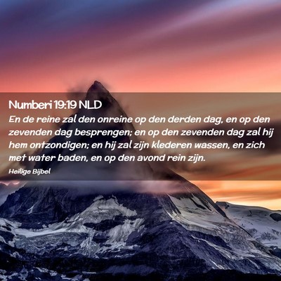 Picture 02 - Numberi 19:19 NLD - En de reine zal den onreine op den derden dag, en - Bible Verse Picture