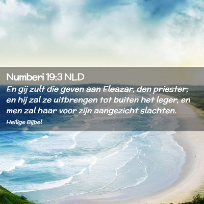 Picture 02 - Numberi 19:3 NLD - En gij zult die geven aan Eleazar, den priester; - Bible Verse Picture