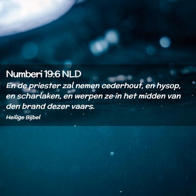 Picture 02 - Numberi 19:6 NLD - En de priester zal nemen cederhout, en hysop, en - Bible Verse Picture