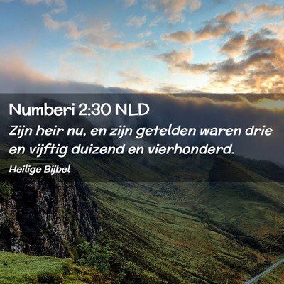 Picture 02 - Numberi 2:30 NLD - Zijn heir nu, en zijn getelden waren drie en - Bible Verse Picture