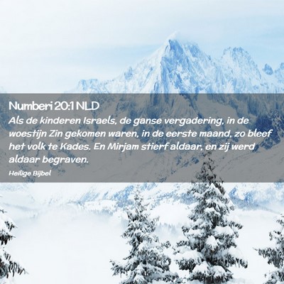 Picture 02 - Numberi 20:1 NLD - Als de kinderen Israels, de ganse vergadering, in - Bible Verse Picture