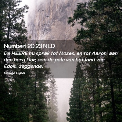 Picture 02 - Numberi 20:23 NLD - De HEERE nu sprak tot Mozes, en tot Aaron, aan - Bible Verse Picture