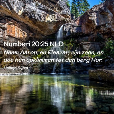 Picture 02 - Numberi 20:25 NLD - Neem Aaron, en Eleazar, zijn zoon, en doe hen - Bible Verse Picture