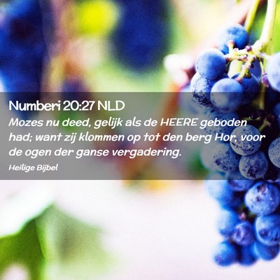 Picture 02 - Numberi 20:27 NLD - Mozes nu deed, gelijk als de HEERE geboden had; - Bible Verse Picture