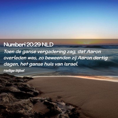 Picture 02 - Numberi 20:29 NLD - Toen de ganse vergadering zag, dat Aaron - Bible Verse Picture