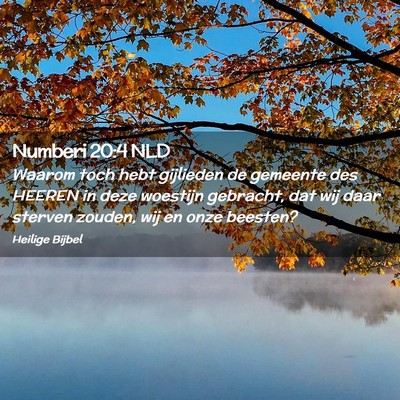 Picture 02 - Numberi 20:4 NLD - Waarom toch hebt gijlieden de gemeente des HEEREN - Bible Verse Picture