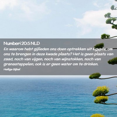 Picture 02 - Numberi 20:5 NLD - En waarom hebt gijlieden ons doen optrekken uit - Bible Verse Picture