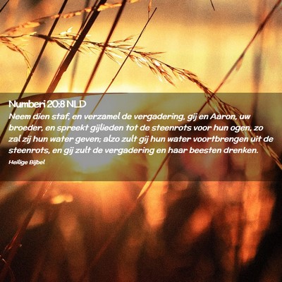 Picture 02 - Numberi 20:8 NLD - Neem dien staf, en verzamel de vergadering, gij - Bible Verse Picture