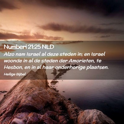 Picture 02 - Numberi 21:25 NLD - Alzo nam Israel al deze steden in; en Israel - Bible Verse Picture