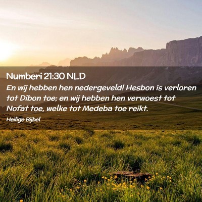 Picture 02 - Numberi 21:30 NLD - En wij hebben hen nedergeveld! Hesbon is verloren - Bible Verse Picture