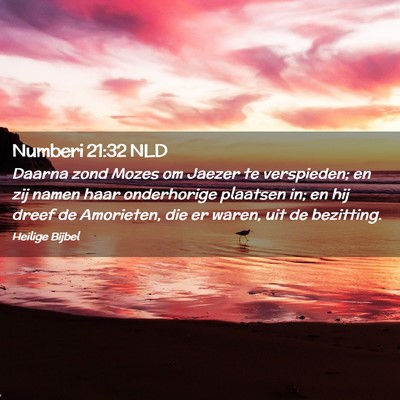 Picture 02 - Numberi 21:32 NLD - Daarna zond Mozes om Jaezer te verspieden; en zij - Bible Verse Picture