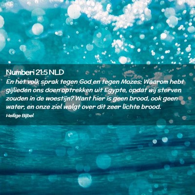 Picture 02 - Numberi 21:5 NLD - En het volk sprak tegen God en tegen Mozes: - Bible Verse Picture