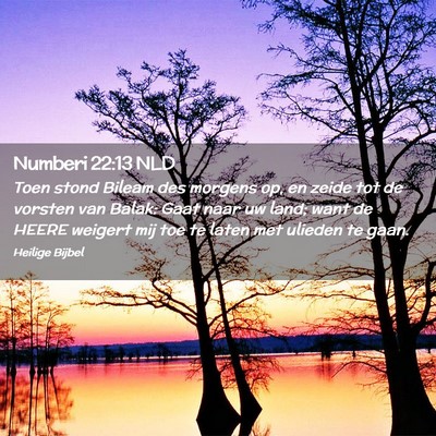 Picture 02 - Numberi 22:13 NLD - Toen stond Bileam des morgens op, en zeide tot de - Bible Verse Picture
