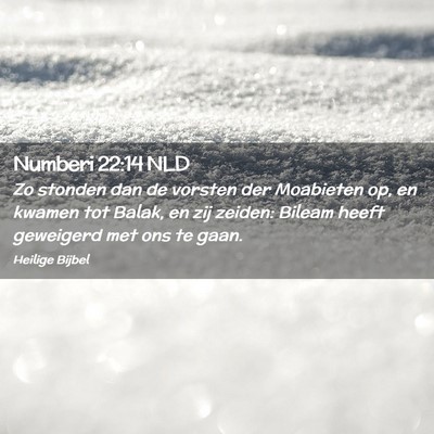 Picture 02 - Numberi 22:14 NLD - Zo stonden dan de vorsten der Moabieten op, en - Bible Verse Picture