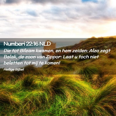 Picture 02 - Numberi 22:16 NLD - Die tot Bileam kwamen, en hem zeiden: Alzo zegt - Bible Verse Picture