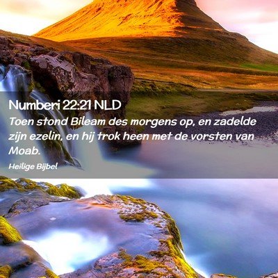 Picture 02 - Numberi 22:21 NLD - Toen stond Bileam des morgens op, en zadelde zijn - Bible Verse Picture
