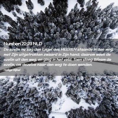 Picture 02 - Numberi 22:23 NLD - De ezelin nu zag den Engel des HEEREN staande in - Bible Verse Picture
