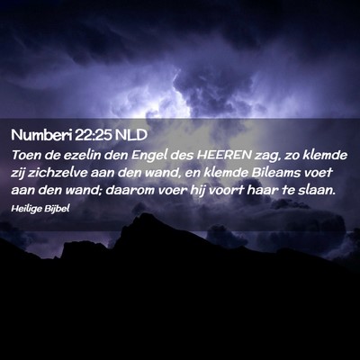 Picture 02 - Numberi 22:25 NLD - Toen de ezelin den Engel des HEEREN zag, zo - Bible Verse Picture