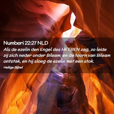 Picture 02 - Numberi 22:27 NLD - Als de ezelin den Engel des HEEREN zag, zo leide - Bible Verse Picture
