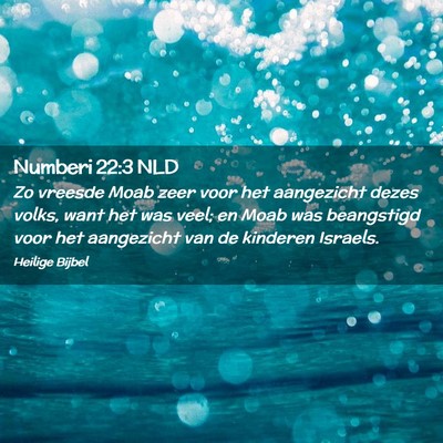 Picture 02 - Numberi 22:3 NLD - Zo vreesde Moab zeer voor het aangezicht dezes - Bible Verse Picture