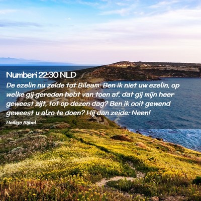Picture 02 - Numberi 22:30 NLD - De ezelin nu zeide tot Bileam: Ben ik niet uw - Bible Verse Picture