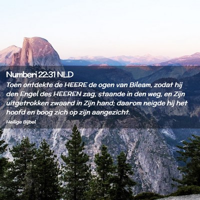 Picture 02 - Numberi 22:31 NLD - Toen ontdekte de HEERE de ogen van Bileam, zodat - Bible Verse Picture