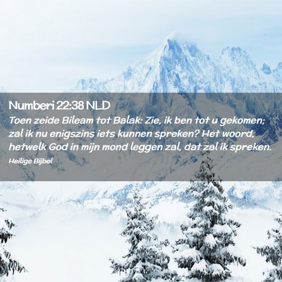Picture 02 - Numberi 22:38 NLD - Toen zeide Bileam tot Balak: Zie, ik ben tot u - Bible Verse Picture