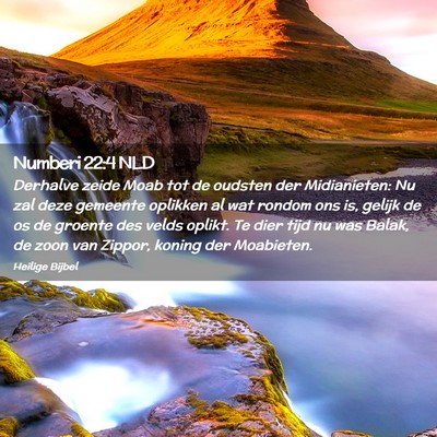 Picture 02 - Numberi 22:4 NLD - Derhalve zeide Moab tot de oudsten der - Bible Verse Picture
