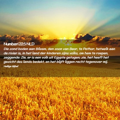 Picture 02 - Numberi 22:5 NLD - Die zond boden aan Bileam, den zoon van Beor, te - Bible Verse Picture