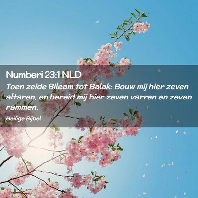 Picture 02 - Numberi 23:1 NLD - Toen zeide Bileam tot Balak: Bouw mij hier zeven - Bible Verse Picture