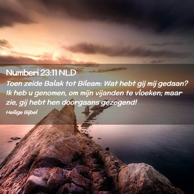 Picture 02 - Numberi 23:11 NLD - Toen zeide Balak tot Bileam: Wat hebt gij mij - Bible Verse Picture