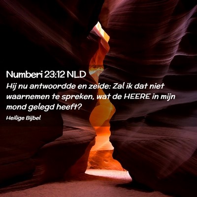 Picture 02 - Numberi 23:12 NLD - Hij nu antwoordde en zeide: Zal ik dat niet - Bible Verse Picture