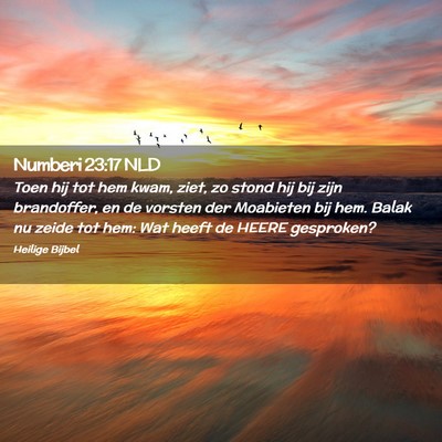Picture 02 - Numberi 23:17 NLD - Toen hij tot hem kwam, ziet, zo stond hij bij - Bible Verse Picture