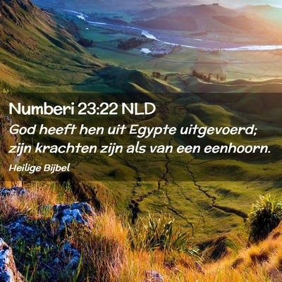 Picture 02 - Numberi 23:22 NLD - God heeft hen uit Egypte uitgevoerd; zijn - Bible Verse Picture