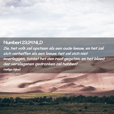 Picture 02 - Numberi 23:24 NLD - Zie, het volk zal opstaan als een oude leeuw, en - Bible Verse Picture