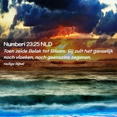 Picture 02 - Numberi 23:25 NLD - Toen zeide Balak tot Bileam: Gij zult het - Bible Verse Picture