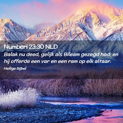 Picture 02 - Numberi 23:30 NLD - Balak nu deed, gelijk als Bileam gezegd had; en - Bible Verse Picture