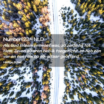 Picture 02 - Numberi 23:4 NLD - Als God Bileam ontmoet was, zo zeide hij tot Hem: - Bible Verse Picture