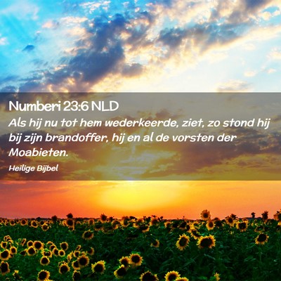 Picture 02 - Numberi 23:6 NLD - Als hij nu tot hem wederkeerde, ziet, zo stond - Bible Verse Picture