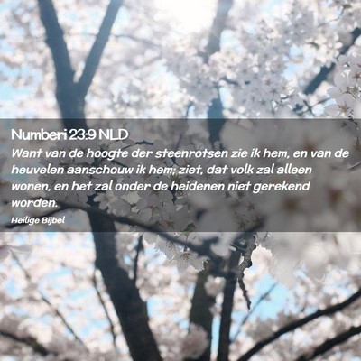 Picture 02 - Numberi 23:9 NLD - Want van de hoogte der steenrotsen zie ik hem, en - Bible Verse Picture
