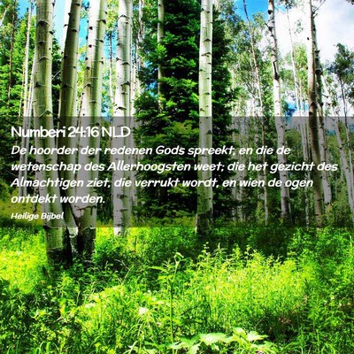 Picture 02 - Numberi 24:16 NLD - De hoorder der redenen Gods spreekt, en die de - Bible Verse Picture