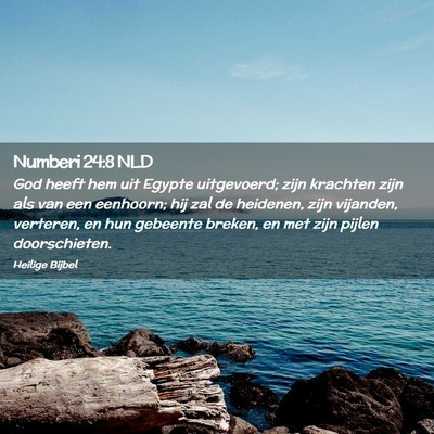 Picture 02 - Numberi 24:8 NLD - God heeft hem uit Egypte uitgevoerd; zijn - Bible Verse Picture
