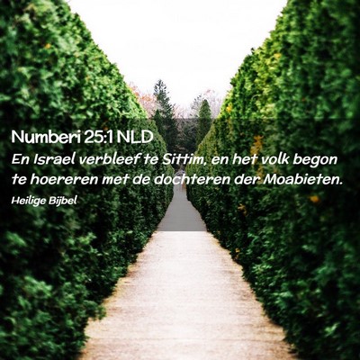 Picture 02 - Numberi 25:1 NLD - En Israel verbleef te Sittim, en het volk begon - Bible Verse Picture