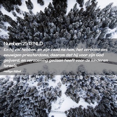Picture 02 - Numberi 25:13 NLD - En hij zal hebben, en zijn zaad na hem, het - Bible Verse Picture