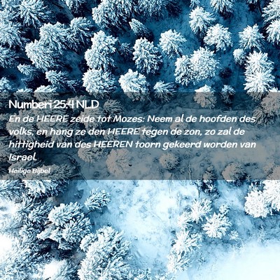 Picture 02 - Numberi 25:4 NLD - En de HEERE zeide tot Mozes: Neem al de hoofden - Bible Verse Picture