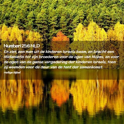 Picture 02 - Numberi 25:6 NLD - En ziet, een man uit de kinderen Israels kwam, en - Bible Verse Picture