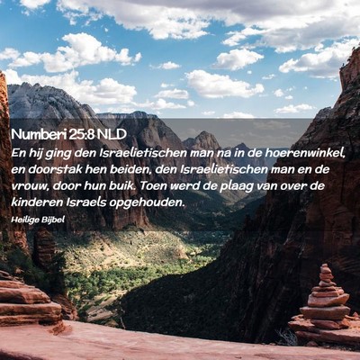 Picture 02 - Numberi 25:8 NLD - En hij ging den Israelietischen man na in de - Bible Verse Picture