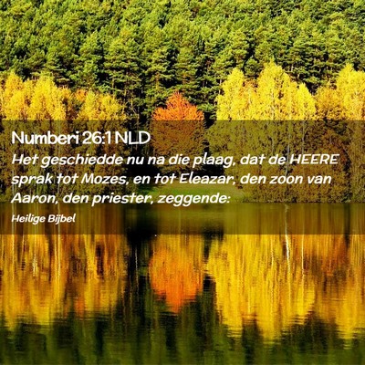 Picture 02 - Numberi 26:1 NLD - Het geschiedde nu na die plaag, dat de HEERE - Bible Verse Picture