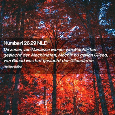 Picture 02 - Numberi 26:29 NLD - De zonen van Manasse waren: van Machir het - Bible Verse Picture
