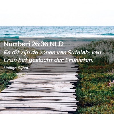 Picture 02 - Numberi 26:36 NLD - En dit zijn de zonen van Sutelah; van Eran het - Bible Verse Picture